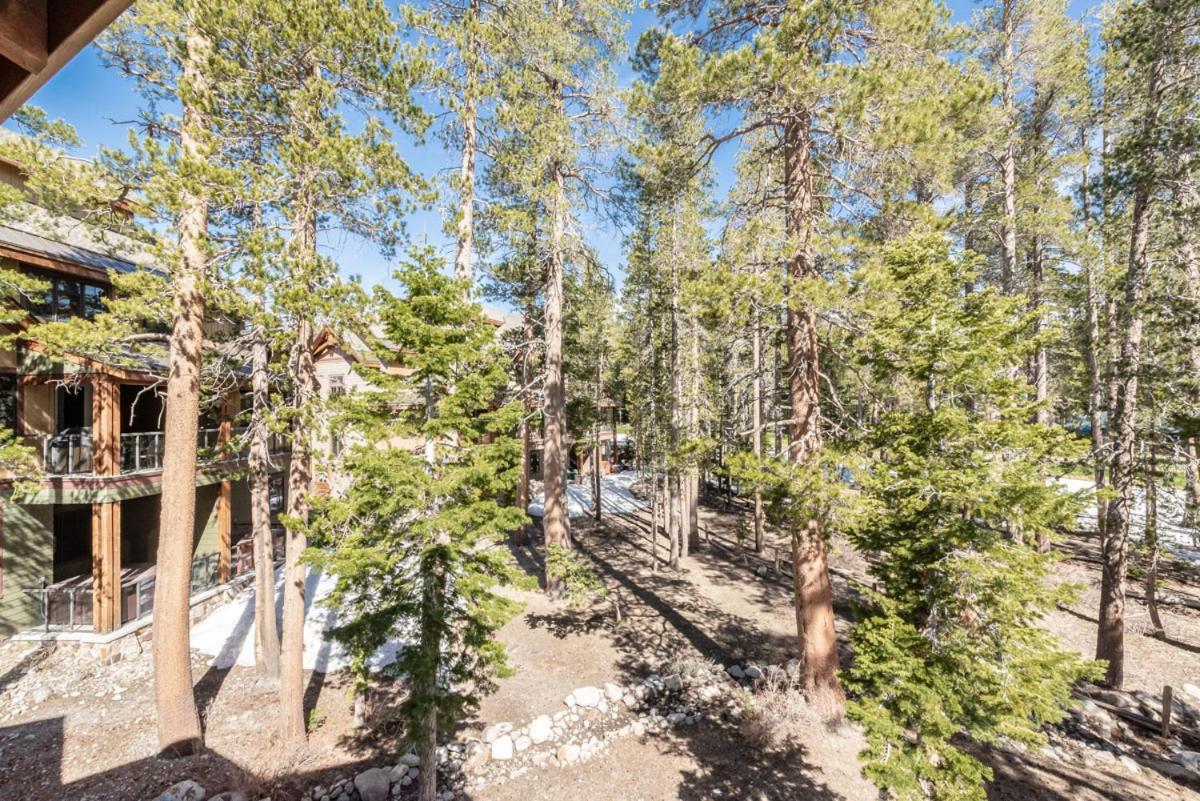 Vila Woodwinds 22 Mammoth Lakes Exteriér fotografie